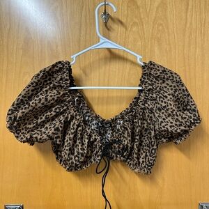 cheetah going out top